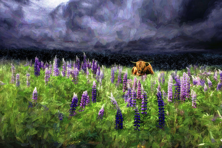 HighlandStorm #7 Lupine Fusion Photograph by Wayne King