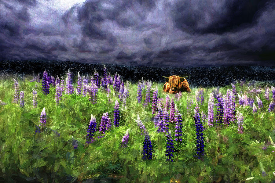 HighlandStorm #8 Guarding the Lupine Photograph by Wayne King