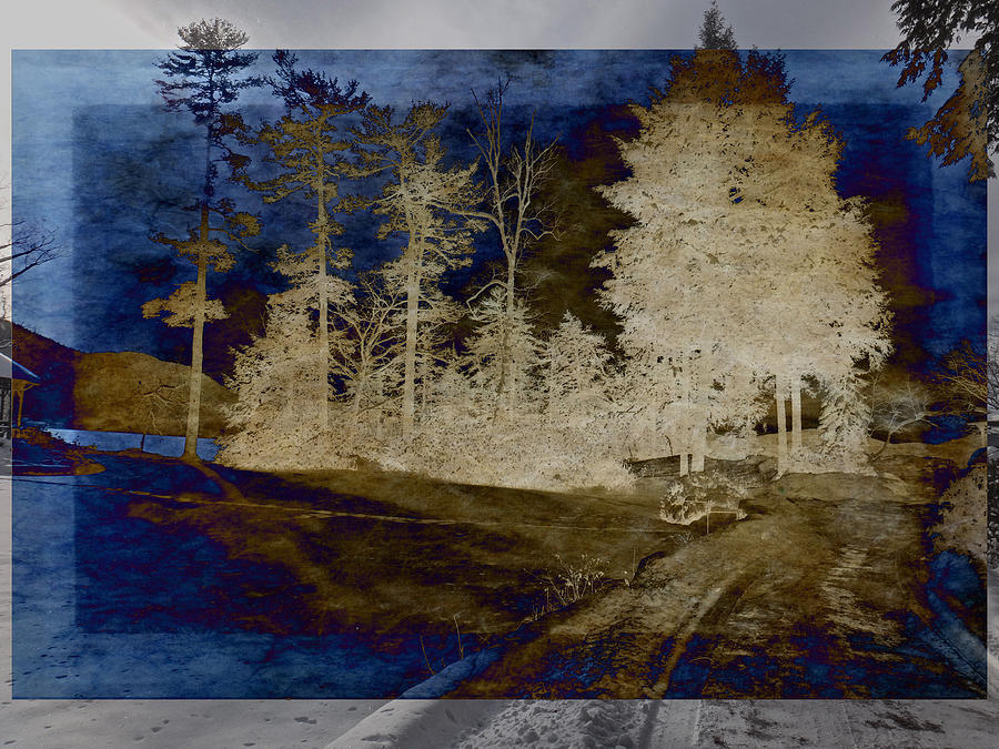 Highlighted Trees at the Lake Digital Art by Russ Considine