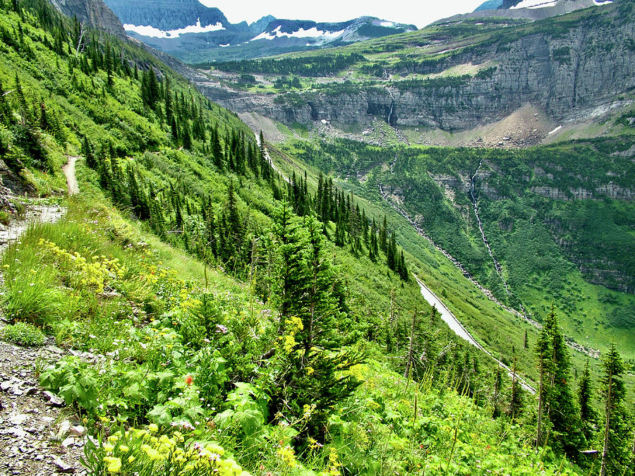 Highline Trail and Going to the Sun Road, Glacier  National Park, Montana Photograph by Ruth Hager