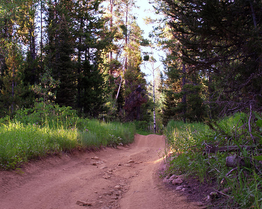 Highline Trail Photograph by Gabrielle Johnson - Fine Art America