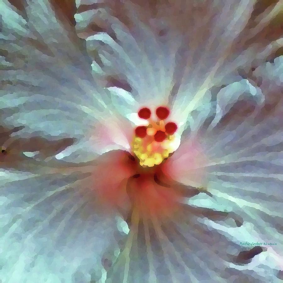 Highly Hibiscus Photograph
