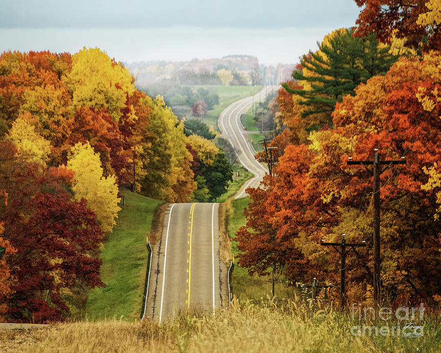 Fall Photograph - Highway 161 Autumn View by Trey Foerster