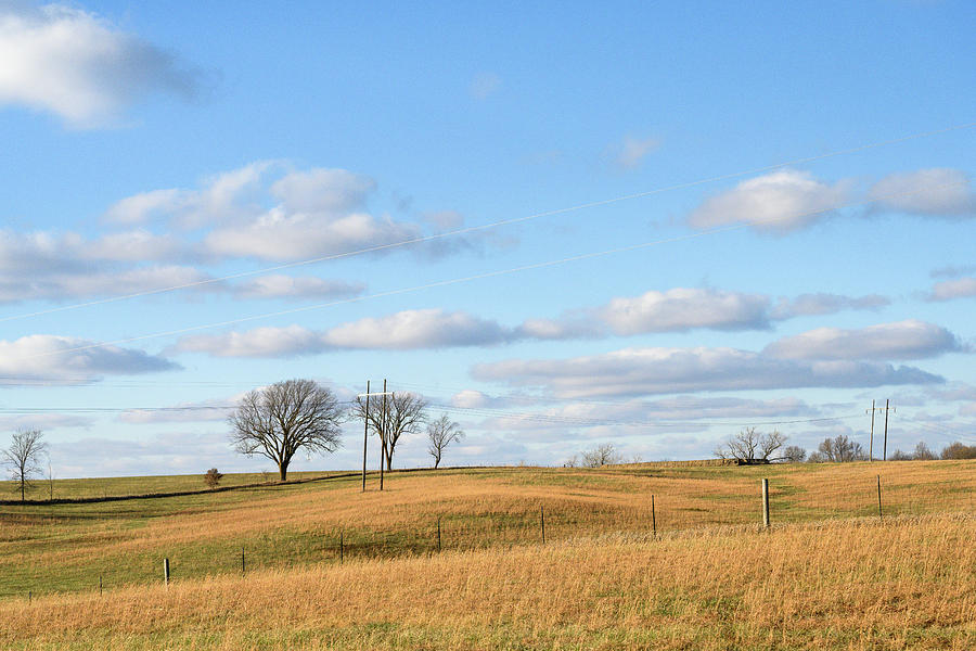 Farm fields near Macon Illinois Photograph by Andy Romanoff Farm fields near Macon Illinois Photograph by Andy Romanoff
