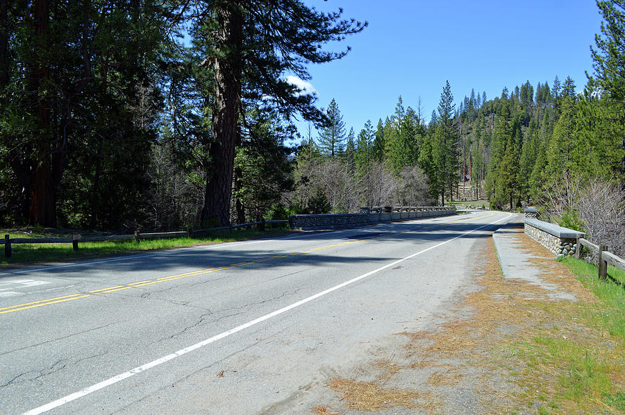 Highway 41 At Wawona Photograph by Eric Forster