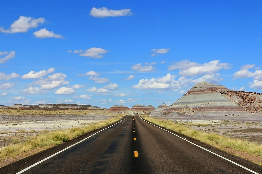Highway through Painted Desert Photograph by Dawn Richards