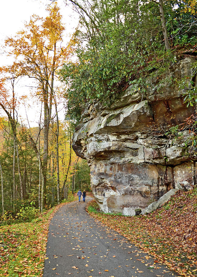Hike into Fall Photograph by Lisa Lambert-Shank