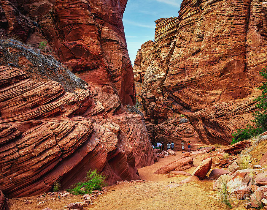 Hike into the Canyon Photograph by Nick Zelinsky Jr