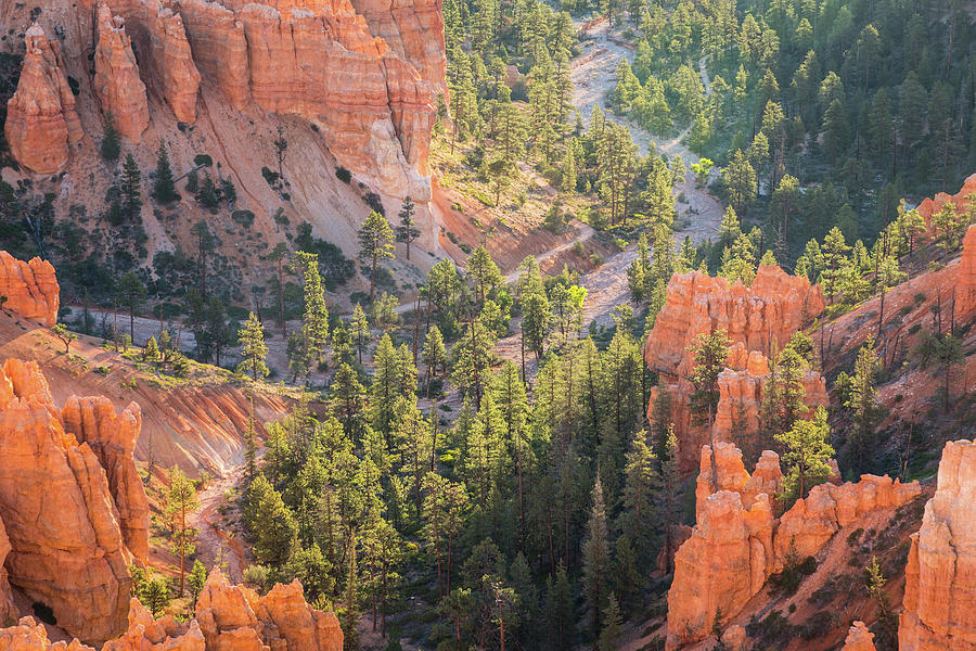 Hike The Hoodoos of Bryce Photograph by Andrew Pacheco