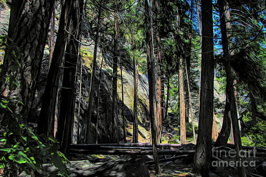 Hike thru Yosemite trees /woods  Photograph by Chuck Kuhn
