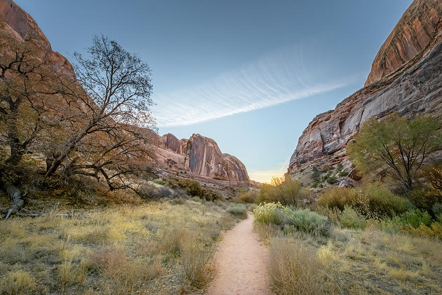 Hike To Morning Glory Arch Moab Utah II Photograph