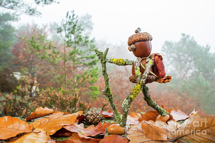 Hiker in Autumn Forest Photograph by Arterra Picture Library