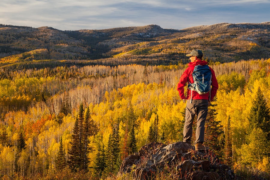 Hiker looking over view of fall colored aspens Photograph by Karen Desjardin