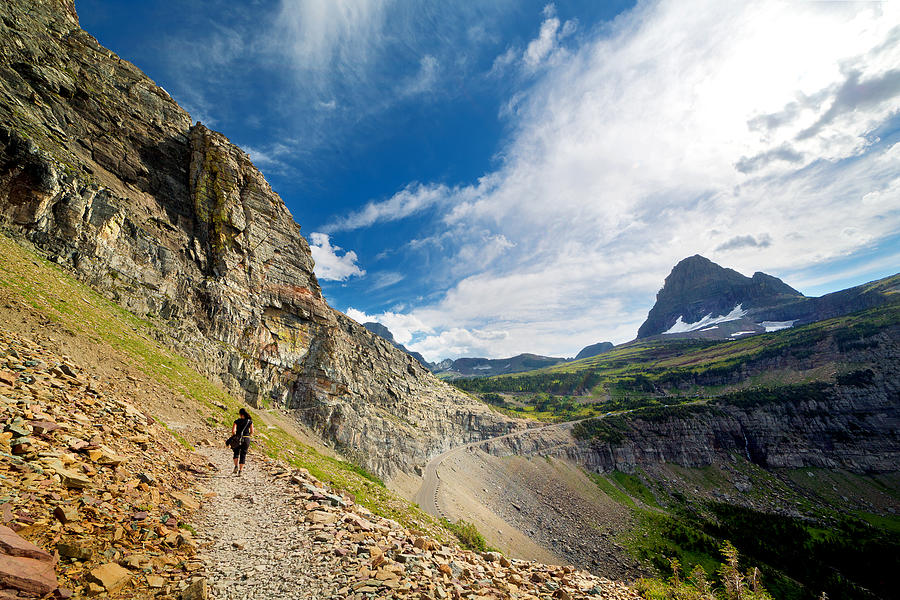 Hiker on Highline Trail in summer, Glacier Montana Photograph by Anna Gorin