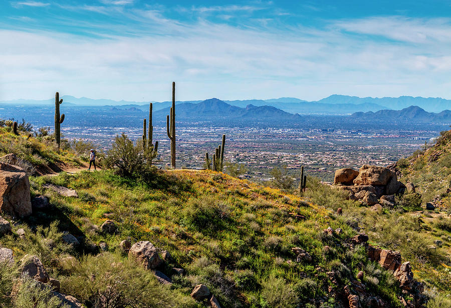 Hiker on Pinnacle Peak Desert Trail In Scottsdale, AZ Photograph by Ray ...