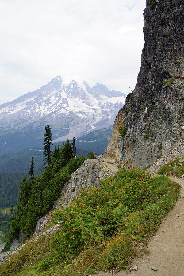  Hiker on steep trail near Pinnacle Pass Photograph by Steve Estvanik