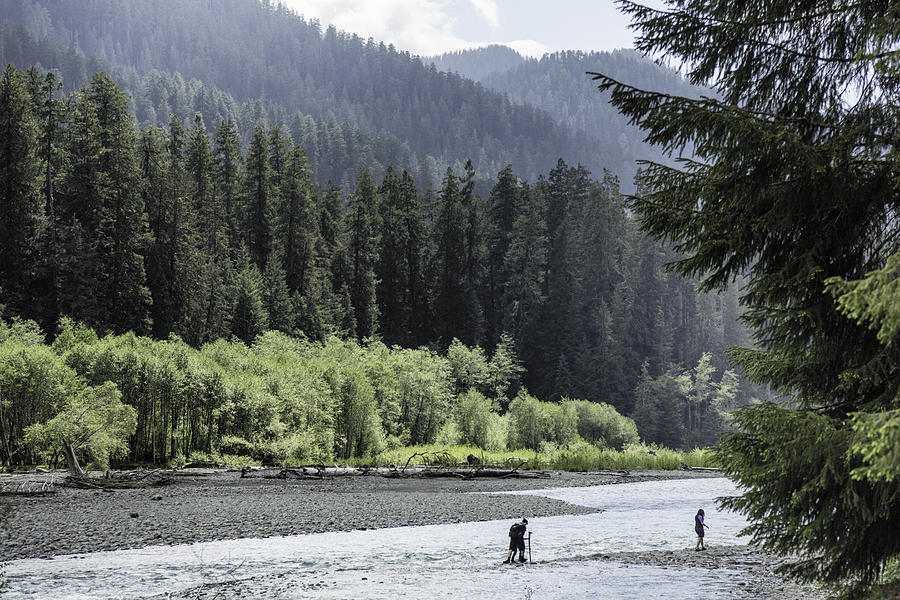 Hikers Crossing the Hoh River Photograph by Theasis