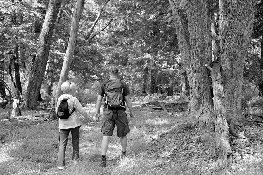 Hikers On The Cook Forest Rhododendron Trail Black And White Photograph by Adam Jewell