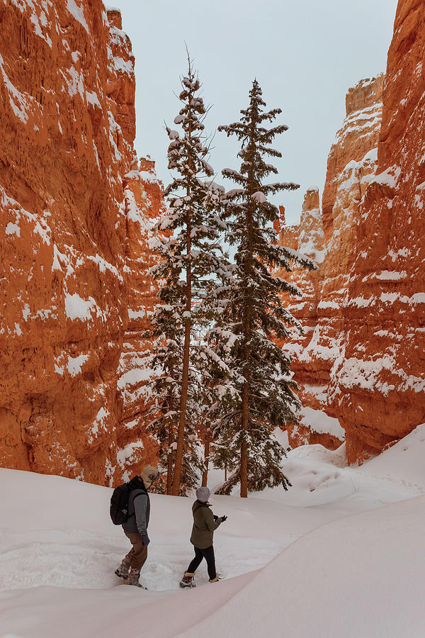 Hiking Bryce In Winter IIi Photograph