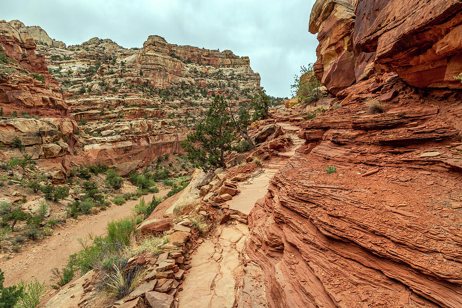 Hiking Capitol Reef Photograph by Pierre Leclerc Photography