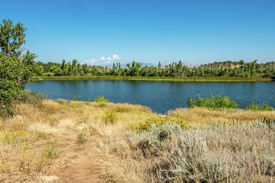 Hiking Daigre Lake Near  La Veta Colorado Photograph by Debra Martz