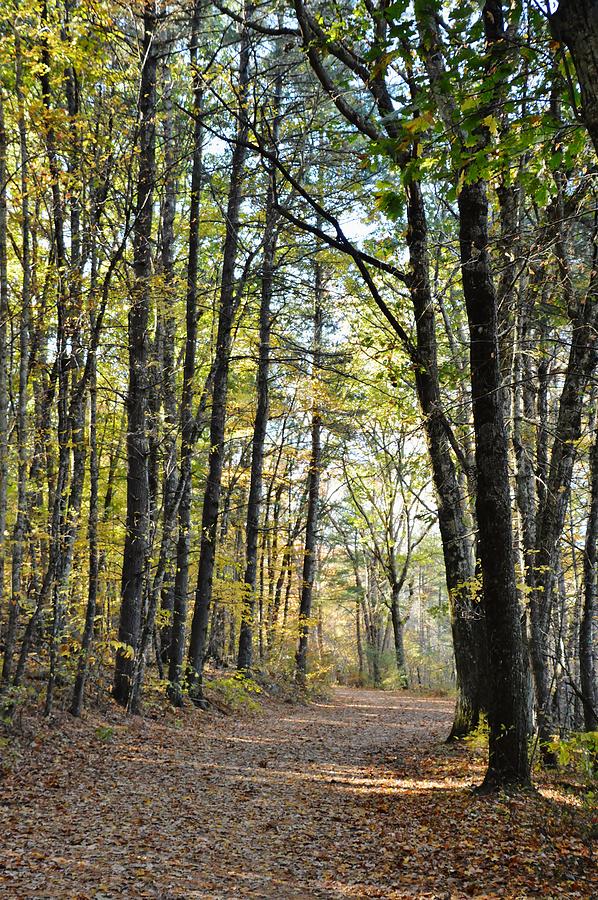 Hiking in October Photograph by Deborah Hochhauser - Fine Art America