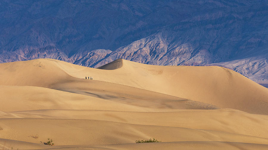 Hiking Mesquite Dunes Photograph by Mike Lee