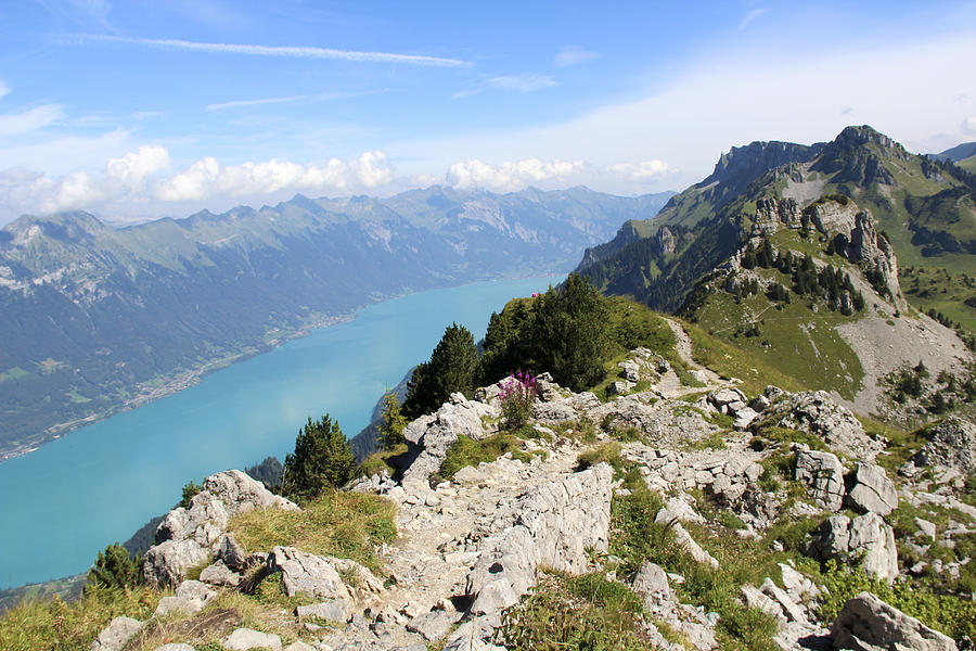 Hiking on Schynige Platte with view on lake Brienz Photograph by Thomas Janisch