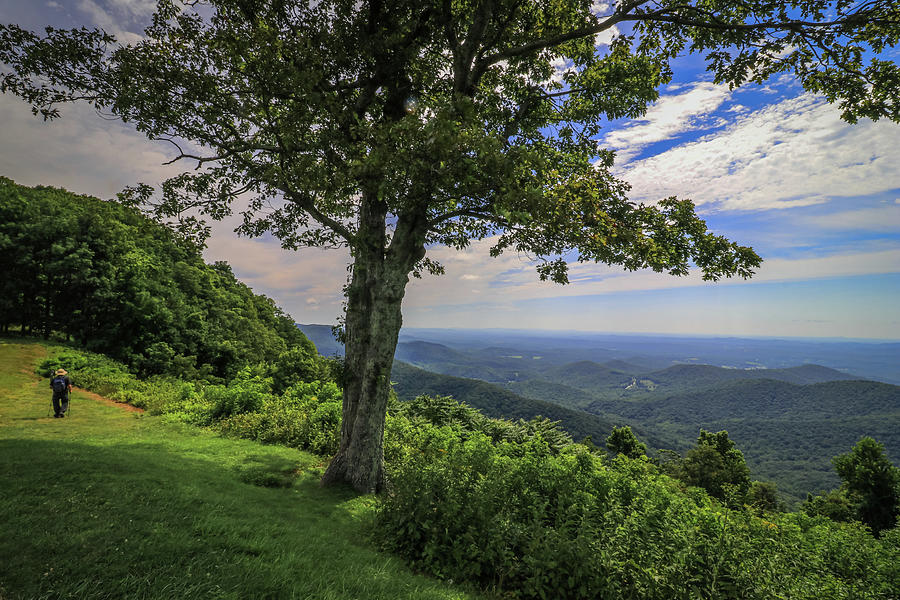 Hiking on the Blue Ridge Parkway Photograph by Deb Beausoleil