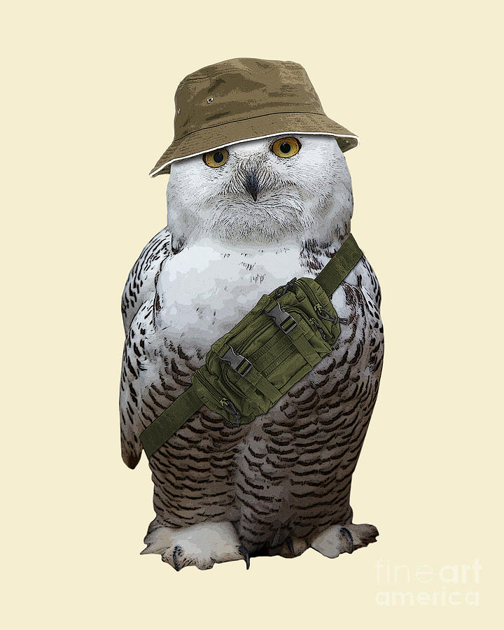 Owl Mixed Media - Hiking owl by Madame Memento