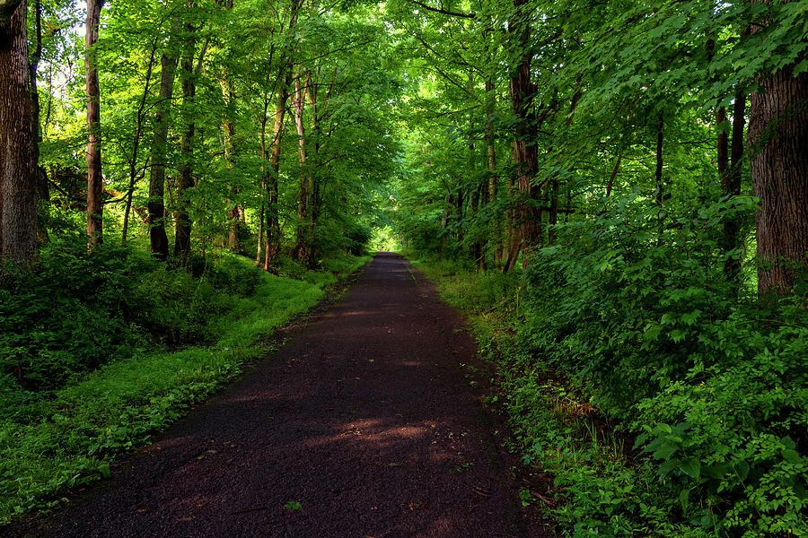 Hiking Peace Valley Park Photograph by Denise Harty - Fine Art America