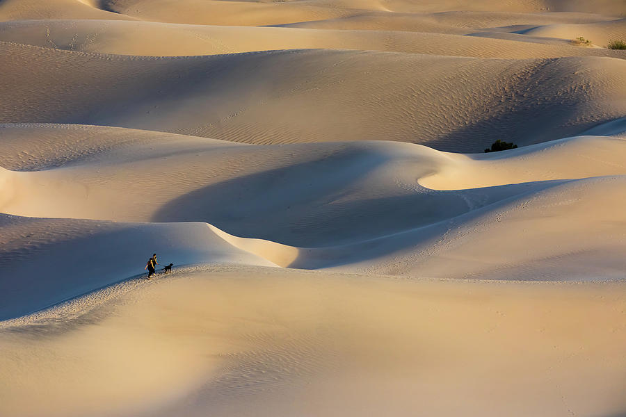 Hiking Sand Dunes Photograph