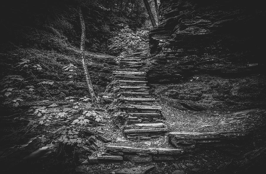 Hiking Steps Black And White Ricketts Glen Photograph by Dan Sproul