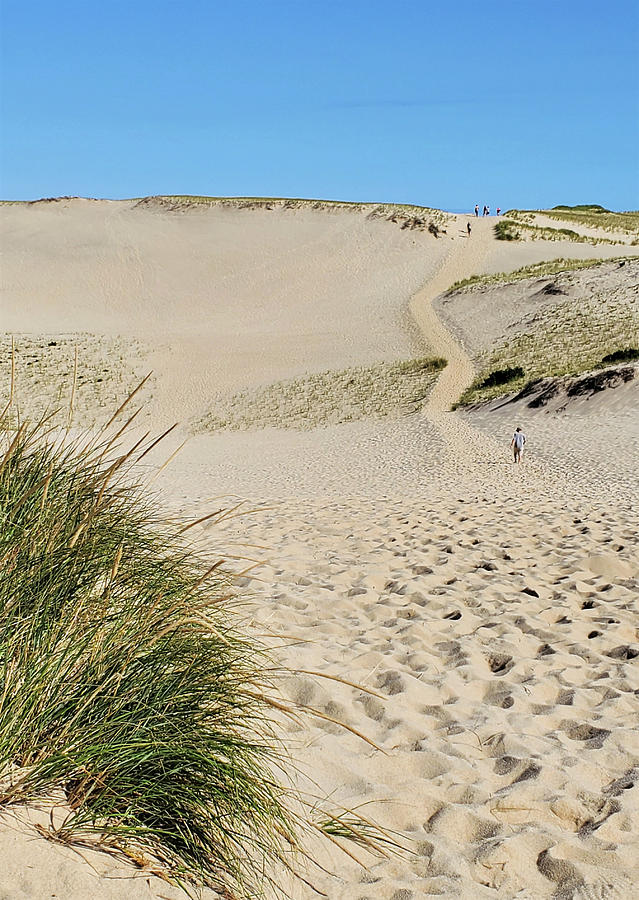 Hiking the Dunes Photograph by Sharon Williams Eng