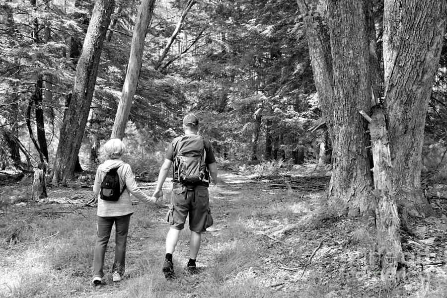Hiking The Rhododendron Trail Black And White Photograph by Adam Jewell