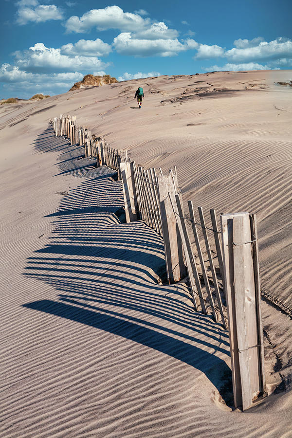 Hiking the Sand Dunes 606 Photograph by Dan Carmichael