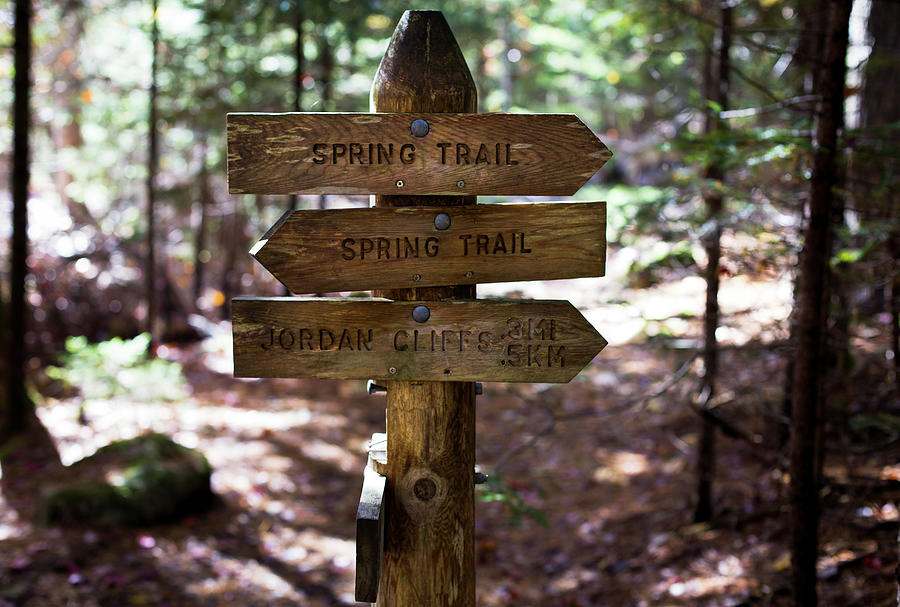 Hiking The Spring Trail Acadia Photograph by Andrew Pacheco