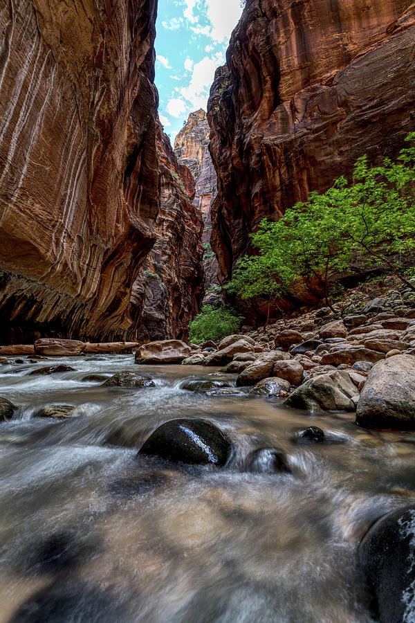 Hiking the Zion Narrows Photograph by Andrew Pacheco