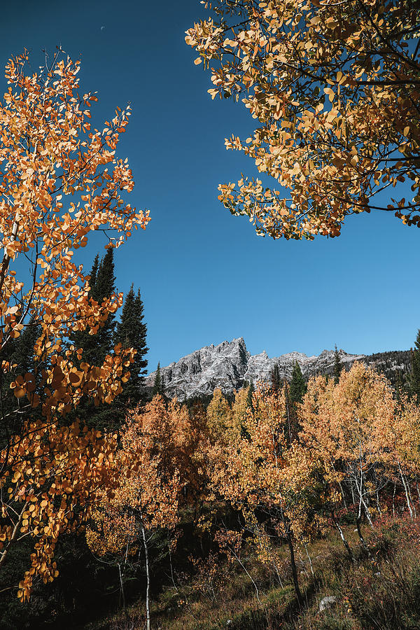 Hiking Through Autumn In Grand Teton National Park Photograph by Dan Sproul