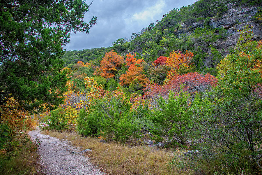 Hiking Through Fall at Lost Maples  Photograph by Lynn Bauer