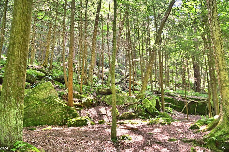 Hiking Through Mcconnells Mill State Park Pennsylvania Photograph By