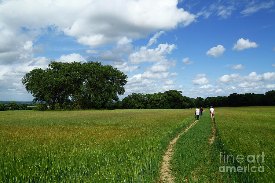 Hiking Through Rural England on a Summers Day Photograph by James Brunker