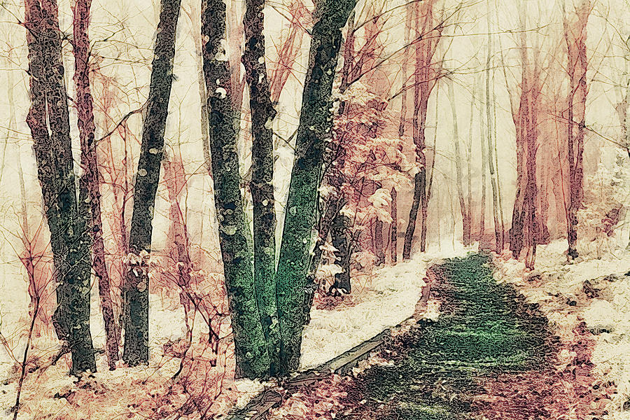 Hiking Through the Snow and Fog fx Digital Art by Dan Carmichael