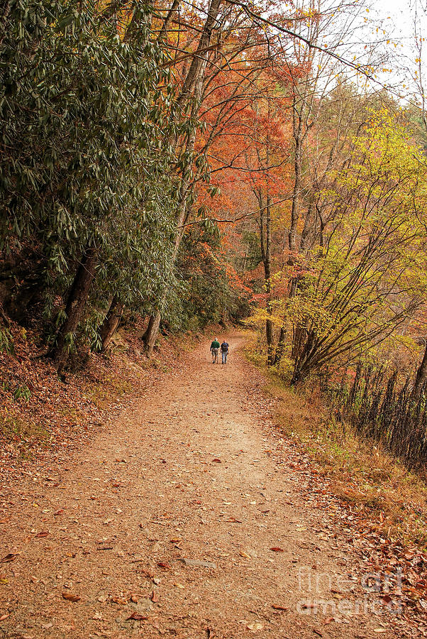 Hiking Trail, Autumn At Great Smoky Mountains Photograph by Felix Lai
