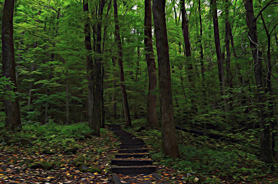 Hiking Trail Digital Art by Becky Sullivan - Fine Art America