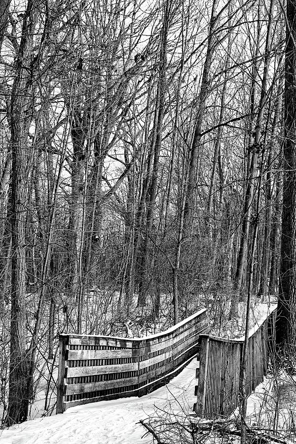 Hiking Trail Bridge BW 011424 Photograph by Mary Bedy