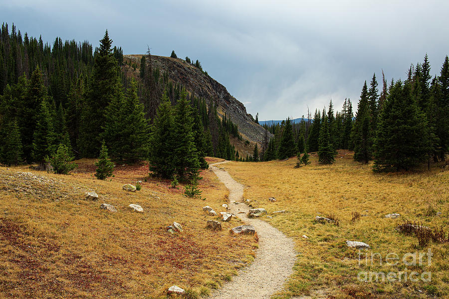 Hiking Trail In Colorado Mountains Photograph by Billy Bateman