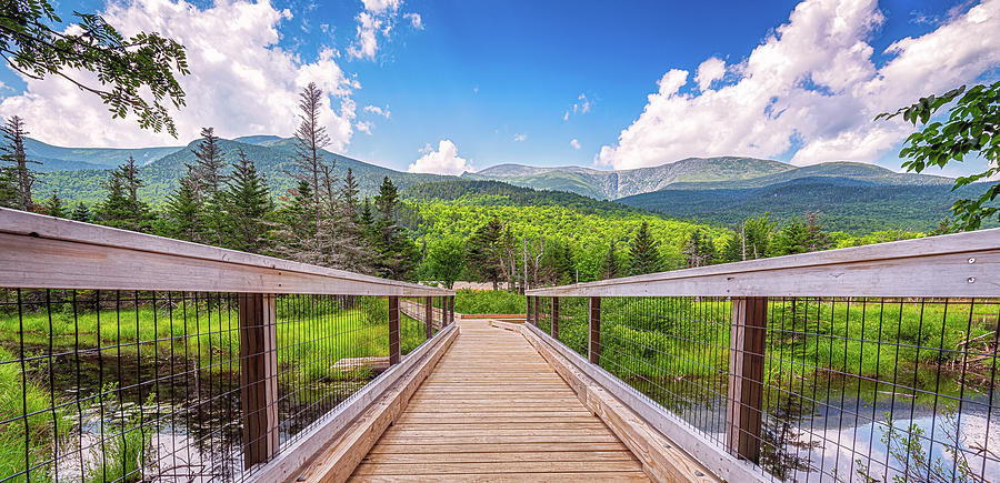 Hiking Trail In Front Of Mount Washington - Panorama Photograph