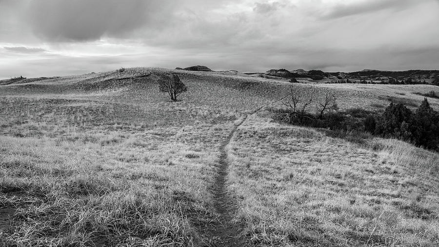 Hiking Trail In Theodore Roosevelt National Park Photograph by Dan Sproul