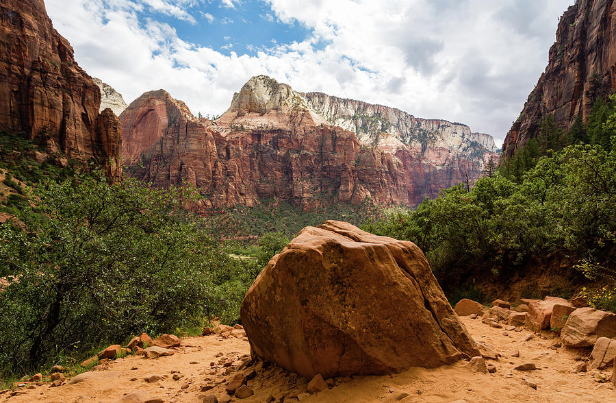 Hiking Zion National Park Photograph by Andrew Pacheco